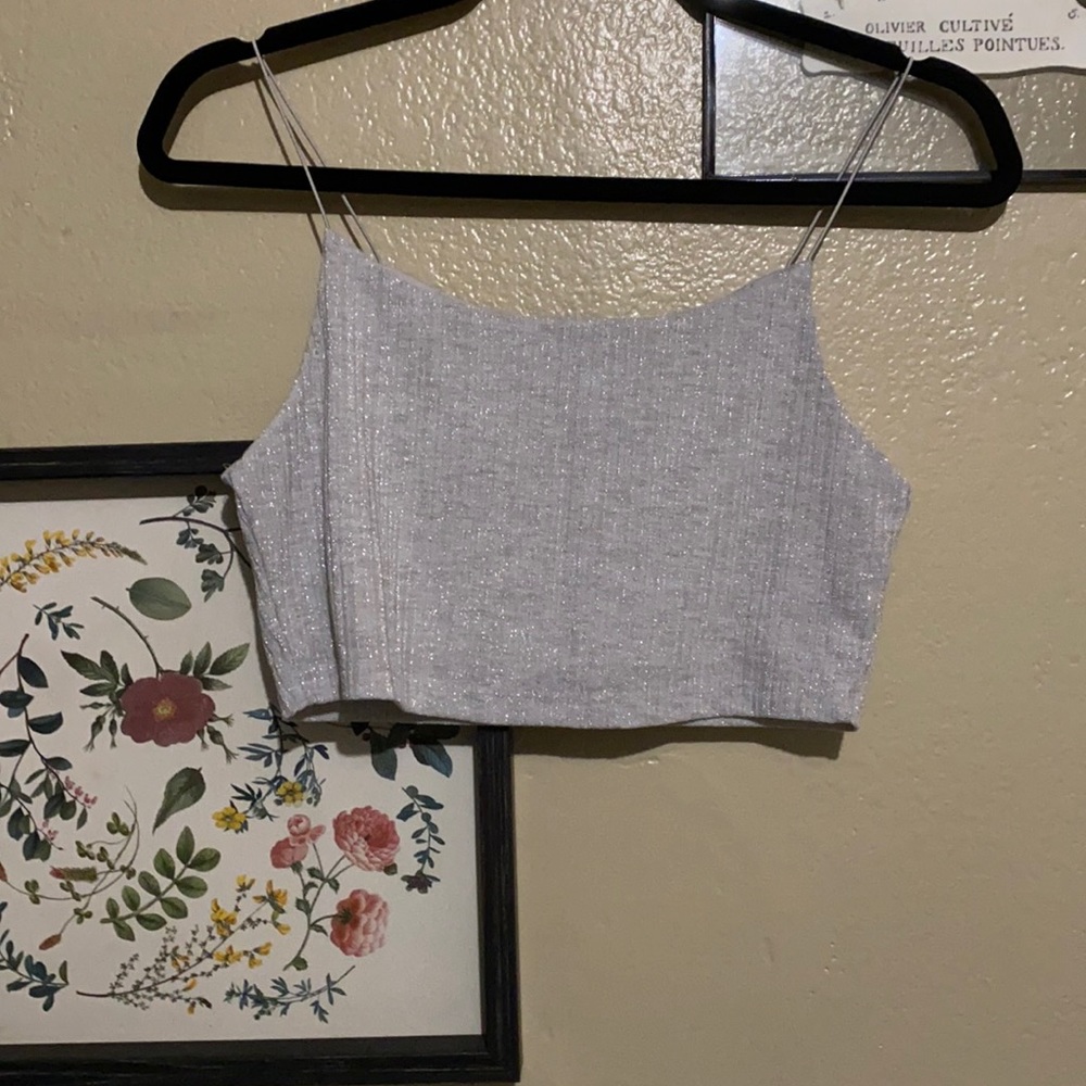 Cropped shimmery silver top